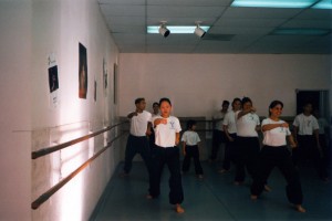 99 - Kung Fu Practice